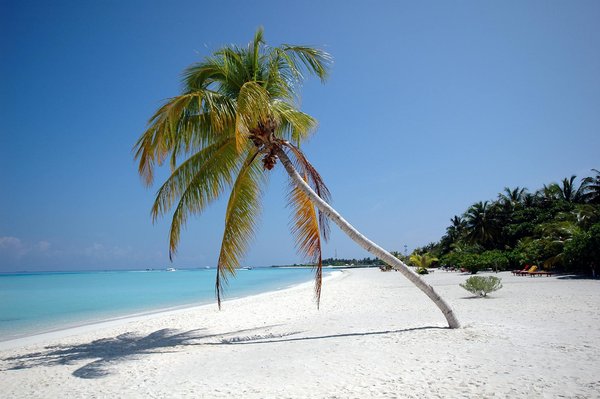 Quels sont les meilleurs itinéraires pour une randonnée en haute montagne en Suisse?