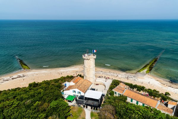 Quels sont les meilleurs endroits pour observer les baleines en Antarctique sans frais élevés?